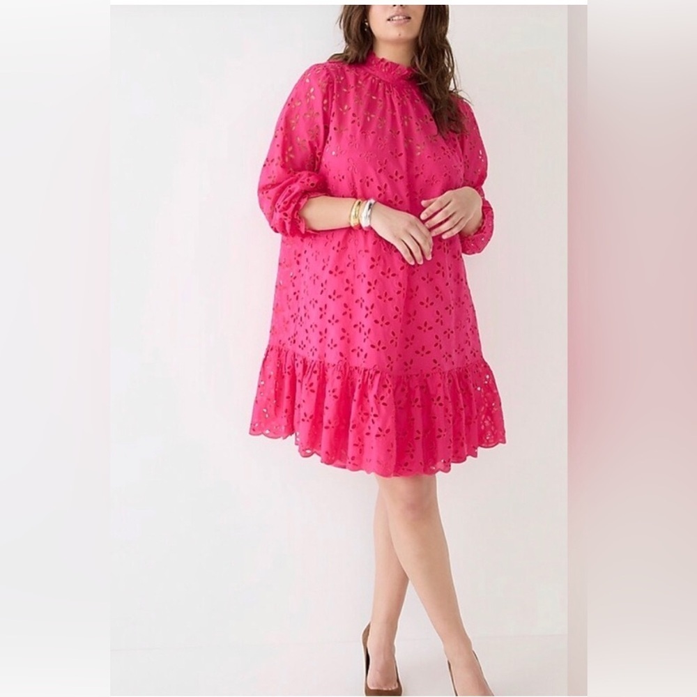 NWT! J. Crew Long Sleeve Ruffle Trim Pink Eyelet Dress Size Small
